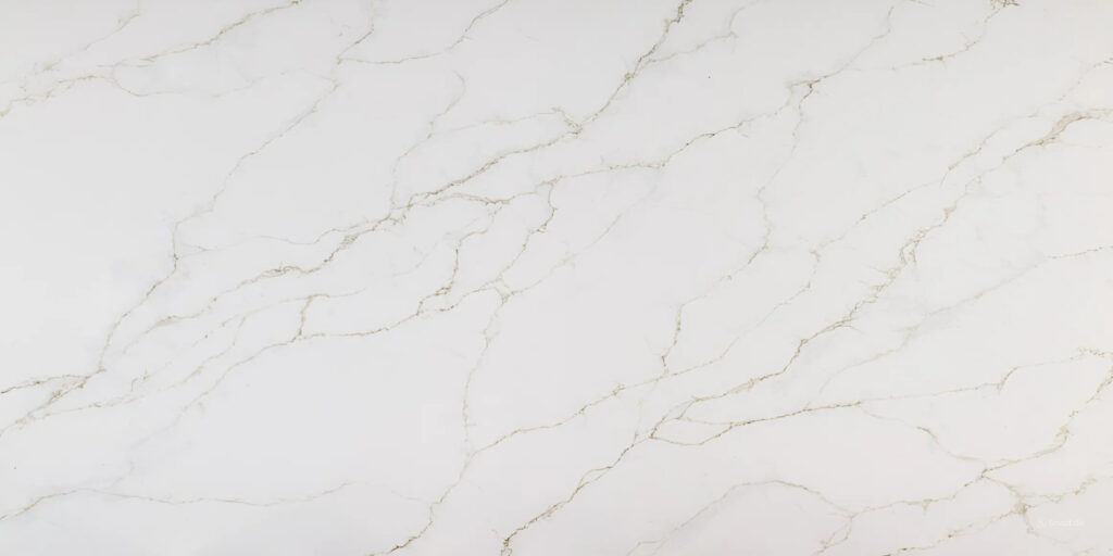 Calacatta Bolognia Quartz by Venezia Surfaces with white background and soft gray beige veining