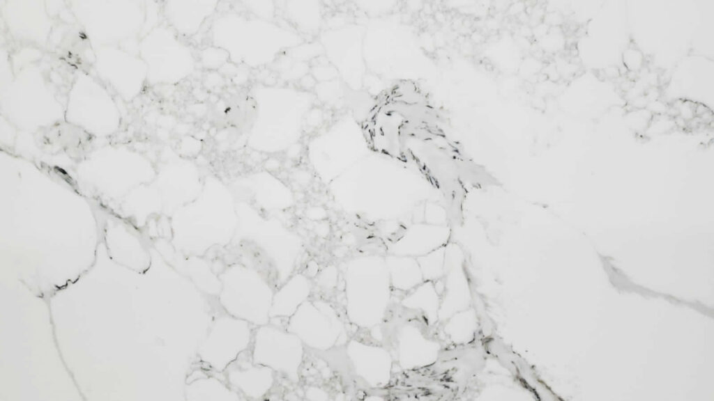 Calacatta Fall Quartz by Venezia Surfaces with white background and wide gray veining