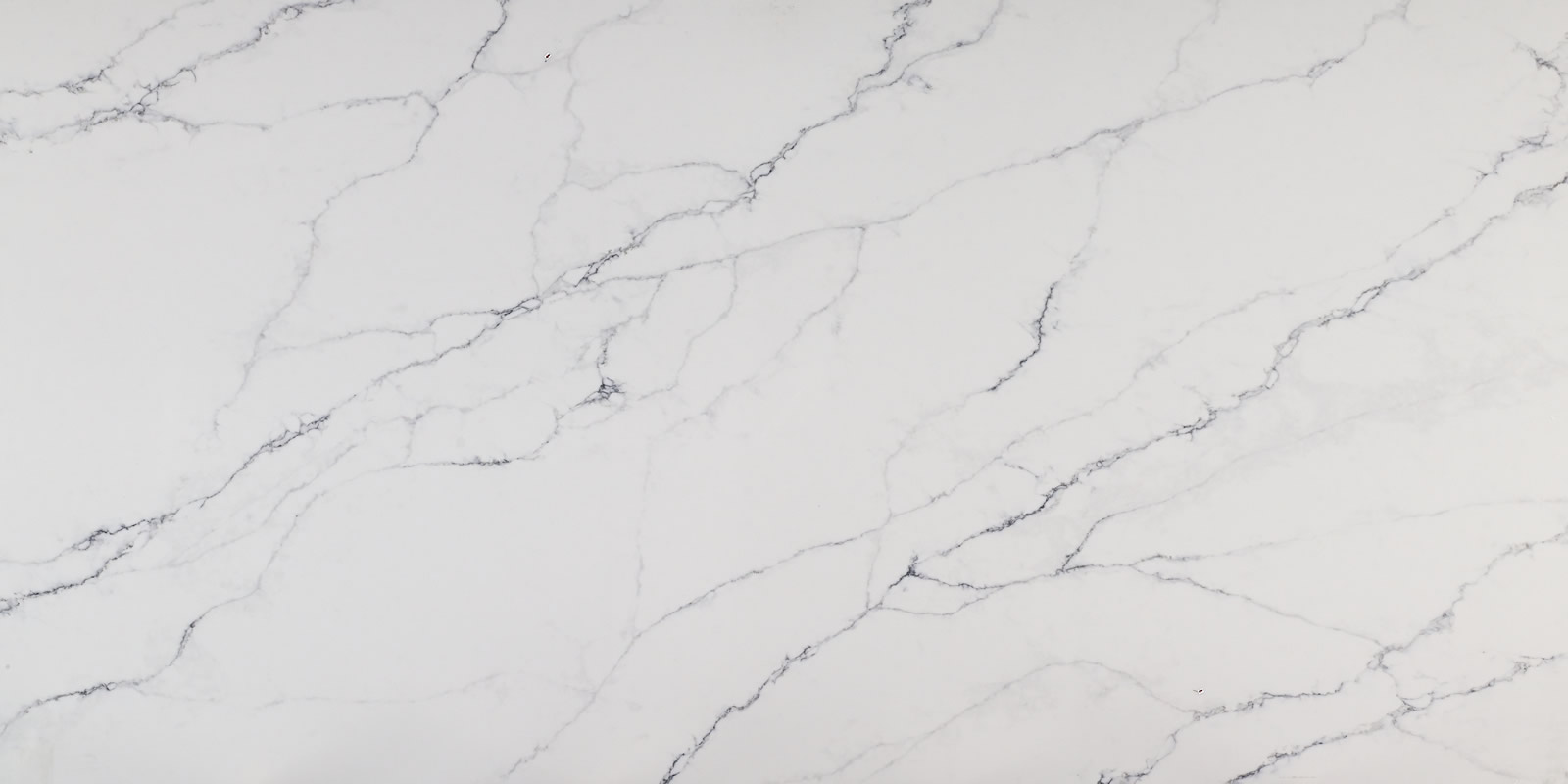 Calacatta Rome Quartz by Venezia Surfaces with white background and soft gray veining
