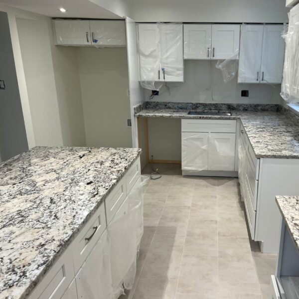 Alaska White granite countertop design