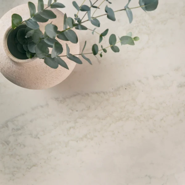 Cambria Annaleigh quartz texture