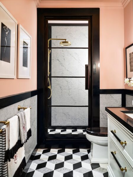Cambria Cambria Black quartz application