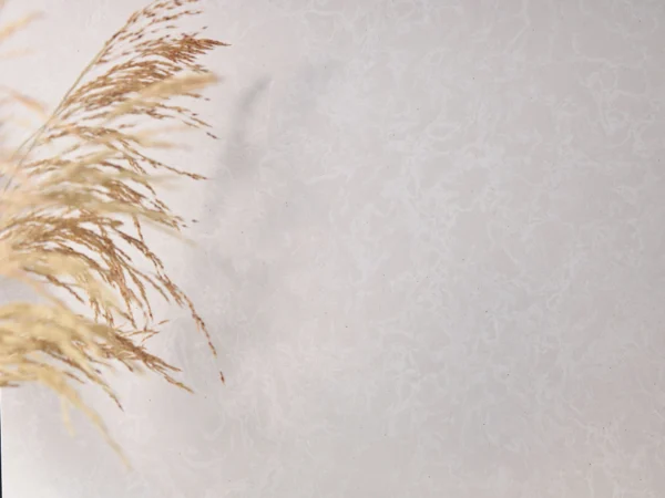 Cambria Foggy City quartz styled detail
