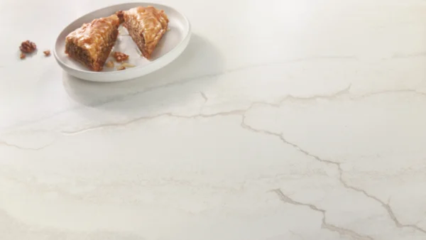 Cambria Inverness Everleigh quartz styled detail